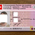 Schweizer/Schweizer Führerschein
